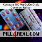 Kamagra 100 Mg Gelée Orale Comment Utiliser 36